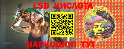 стаф Балахна