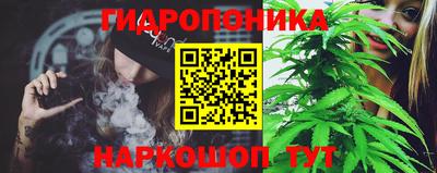 прущие грибы Гусев