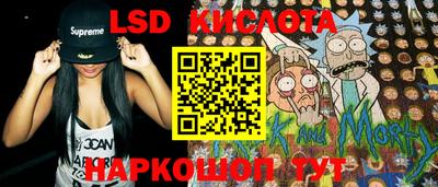 прущие грибы Гусев