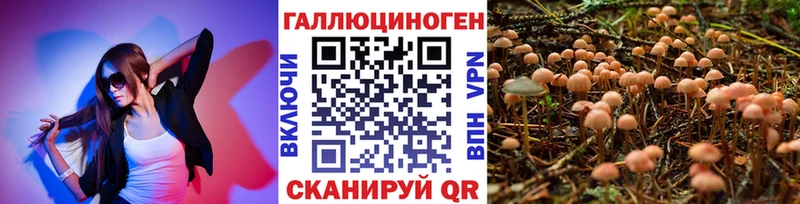 Галлюциногенные грибы Psilocybe  Тында 
