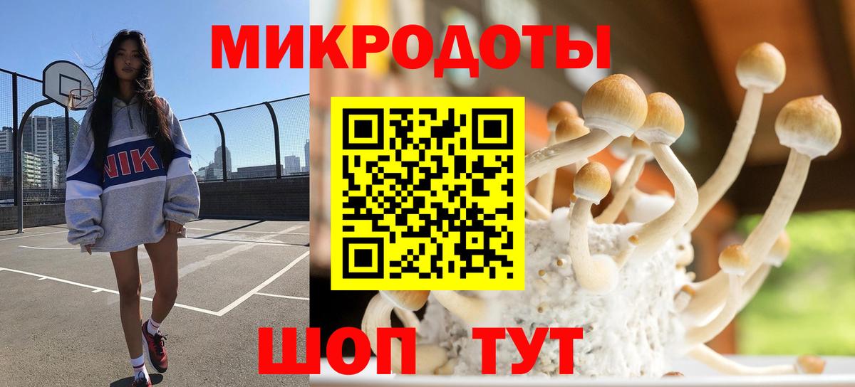 Псилоцибиновые грибы Magic Shrooms  Вход с VPN  Тында 